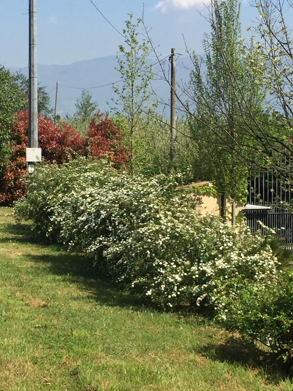 Lago Gabbiano Podere Casanova Pistoia Bagian luar foto